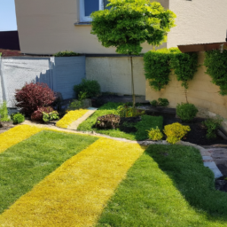 Abattage : enlevez les arbres dangereux ou indésirables de votre jardin en toute sécurité Bischheim